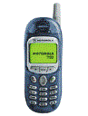 Best available price of Motorola T190 in Uganda