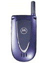 Best available price of Motorola V66i in Uganda